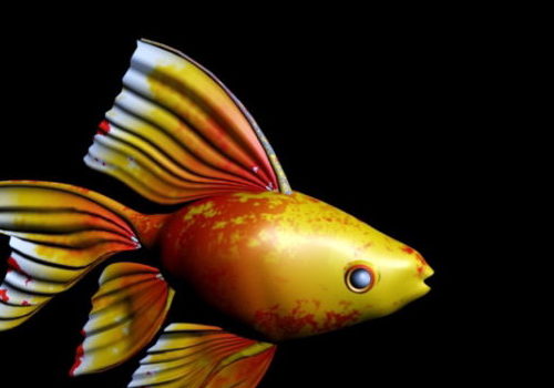 Yellow Aquarium Goldfish