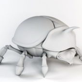 Animal Rhinoceros Beetle