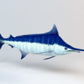 Animal Atlantic Marlin
