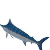 Atlantic Blue Marlin Undersea Animals