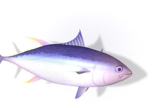 Atlantis Tuna Fish Animals
