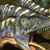 Animal Aucasaurus Dinosaur