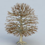 Dry Autumn Tree