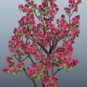Nature Azalea Tree