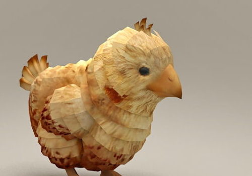Baby Chicken | Animals