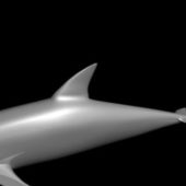 Lowpoly Dolphin