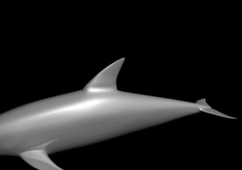 Lowpoly Dolphin