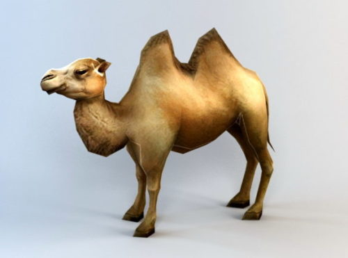 Animal Camel Rig