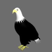 Animalbald Eagle