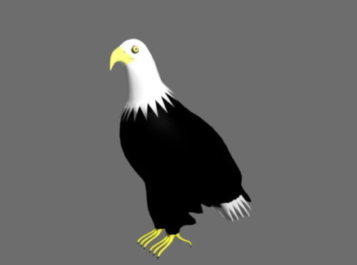 Animalbald Eagle