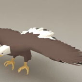 American Bald Eagle Wings | Animals