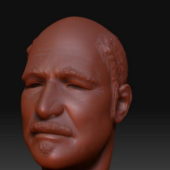 Bald Head Sculpture Characters