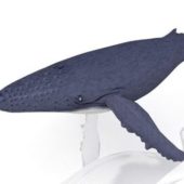 Baleen Whale Deep Sea Animal Animals