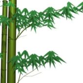 Green Bamboo And Leaves