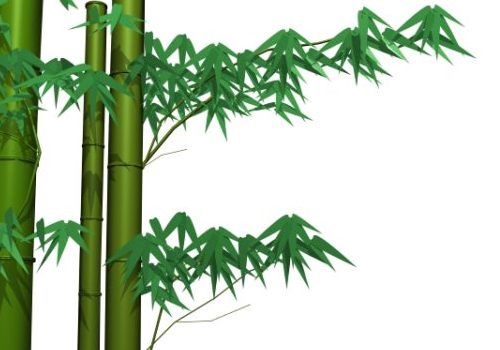 Green Bamboo And Leaves