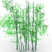 Nature Bamboo Plant