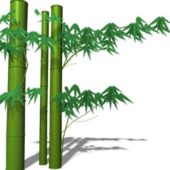 Plant Bamboo Stem