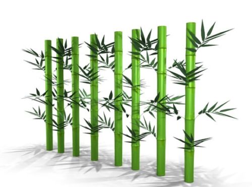 Nature Bamboo Stems Free 3d Model Max 123free3dmodels