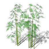 Nature Bamboo Trees Plants
