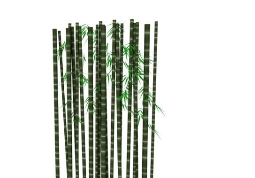 Bamboo Trunk Plant