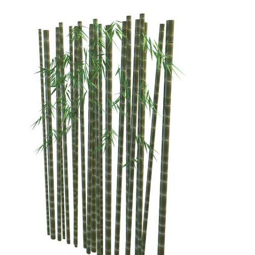 Free Bamboo 3D Models for Download - 123Free3dModels