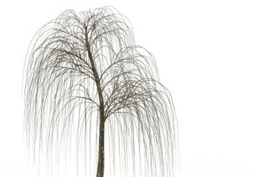 Bare Willow Green Tree