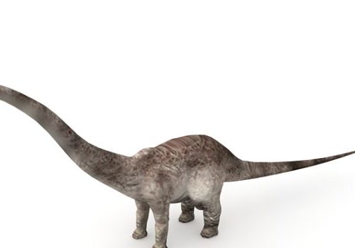 Prehistoric Animal Barosaurus Dinosaur Animals