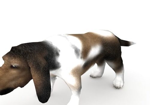 Basset Dog Pet Animals