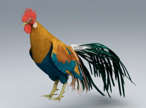 Realistic Rooster Animal