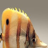 Beautiful Tropical Gold Fish | Animals