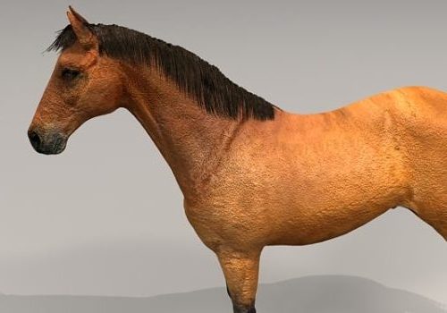 Realistic Beautiful Horse