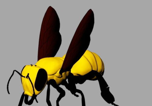 Bee Wasp Animal