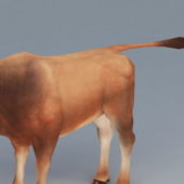 Beef Cattle | Animals