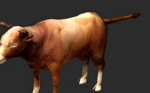 Wild Animal Beef Cattle Free 3d Model Max 123free3dmodels