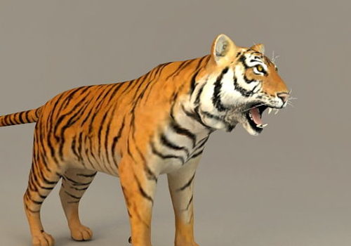 Bengal Tiger Realistic | Animals