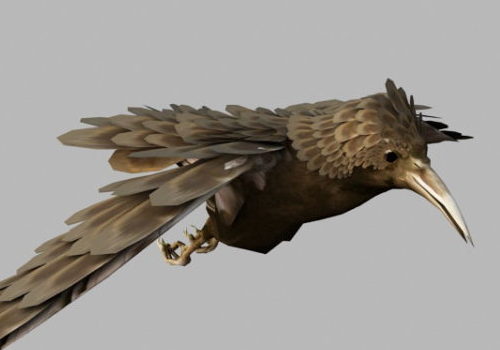 Bird Rigged And Animated