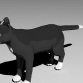 Black Cat Rigged Animal