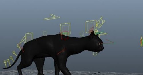 Black Cat Walk Character