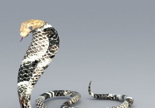 King Cobra Snake