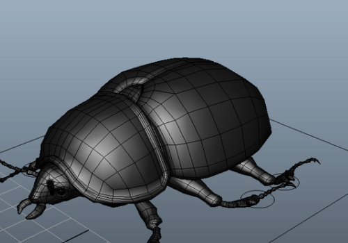 Animal Black Lawn Beetle Rigged