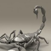 Black Scorpion Insect Animals