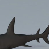 Black Shark Lowpoly