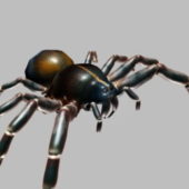 Black Giant Spider