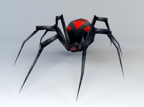 Animal Black Widow Spider