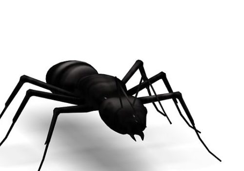 Carpenter Ant Animals V1