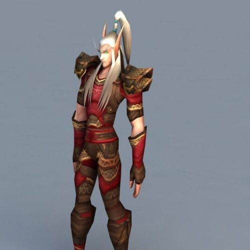 Character Blood Elf Male