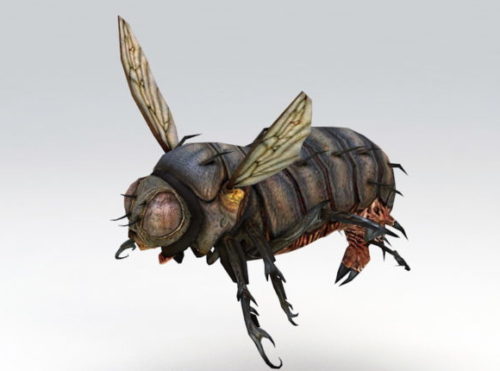 Insect Blowfly Rigged