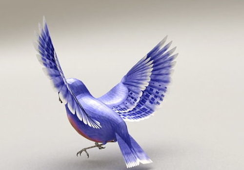 Blue Bird With Beauty Wings | Animals