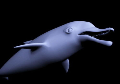 Lowpoly Dolphin V1