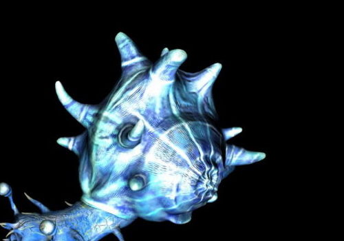 Blue Mystery Snail | Animals
